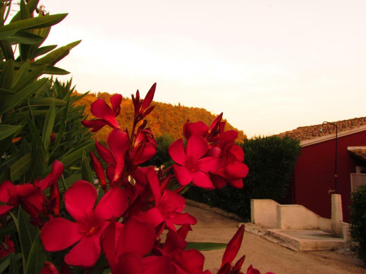Kallopsia - Glifada Beach Menigos Resort By New Era Εξωτερικό φωτογραφία